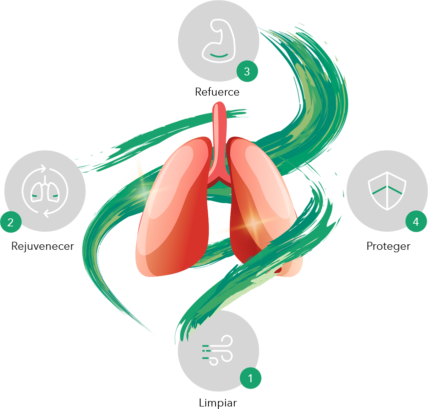 lungs-4protection