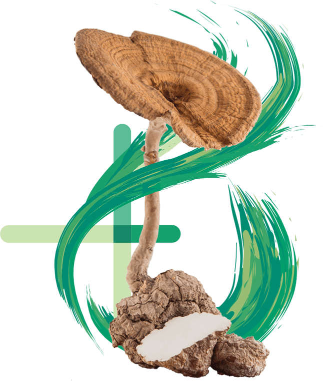 product-twistmushroom