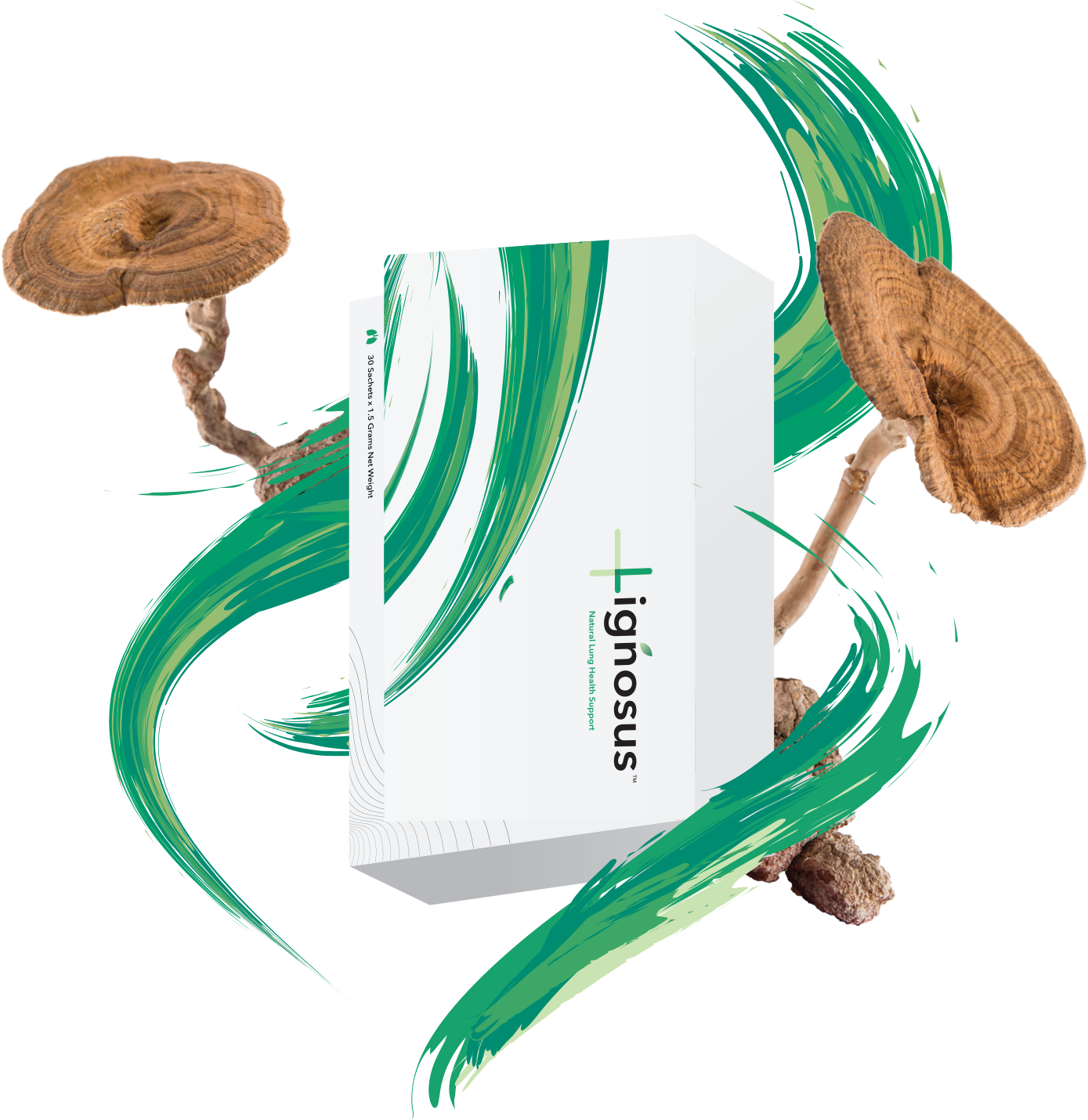 banner-product-presentation