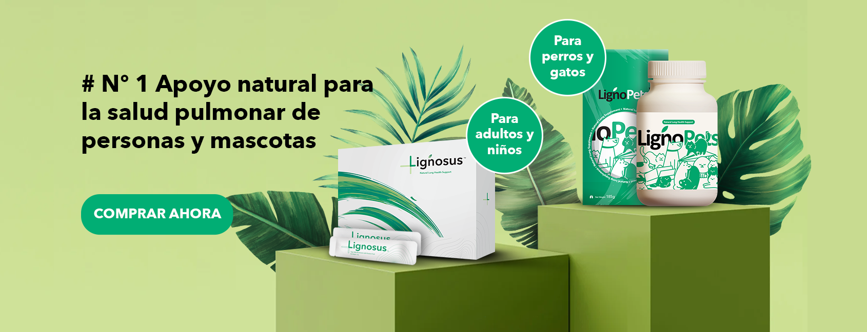 banner-product-presentation