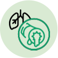 13 Key Benefits Icons